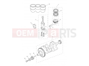 TRIUMPH TIGER 900 Desert Crankshaft, Connecting Rods, Pistons & Liners
