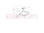 TRIUMPH SCRAMBLER 900 - Liquid Cooled - > CM9963 Engine Service Kit