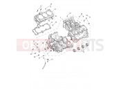 TRIUMPH Tiger 1200 Alpine Crankcase & Fittings