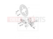 TRIUMPH Tiger 1200 Desert Rear Brake Caliper & Discs