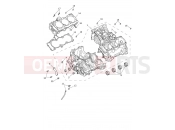 TRIUMPH Tiger 1200 Desert Crankcase & Fittings