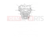 TRIUMPH Tiger 1200 Rally Pro Crankcase Bolts