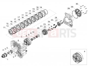 MOTOGUZZI Stelvio PFF Rider Assistance SolutioN (EU) Clutch