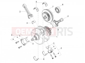 MOTOGUZZI Stelvio PFF Rider Assistance SolutioN (EU) Cranckshaft