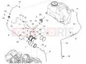 MOTOGUZZI Stelvio (EU) Fuel vapour recover system
