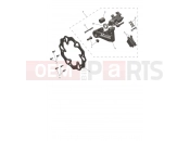 Rear Caliper & Discs - Triumph TF250-E 2025
