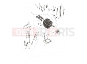 Cylinder Head & Valves - Triumph TF250-X CS6090 > 2023
