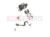 Throttle Bodies - Triumph TF250-X CS6090 > 2023