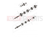 Transmission - Triumph TF450-RC Edition 2025