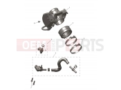 Throttle Bodies - Triumph TF450-E 2026