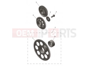 TRIUMPH TF250-C Starter Drive Gears