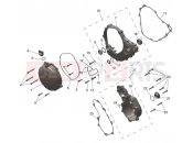 Engine Covers - Triumph TF250-C 2026