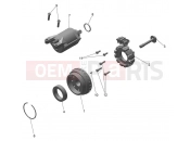 Alternator & Starter Motor - Triumph TF450-E 2025