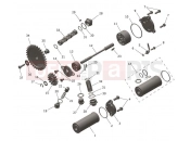 Lubrication System - Triumph TF450-RC Edition 2025