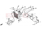 HONDA FES1503 Pantheon 2003 F-30 RADIATOR
