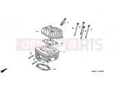 HONDA SFX50Y SFX50 2000 E-2 CYLINDER / CYLINDER HEAD