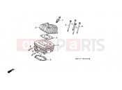 HONDA SH501 SH Fifty 2001 E-2 CYLINDER / CYLINDER HEAD