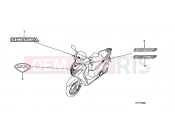 HONDA SH150A SH150i 2010 SIGN F-30
