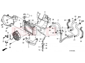 HONDA SH150D9 SH150i [Drum Brake] 2009 F-27 RADIATOR