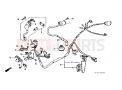 HONDA SA50R Vision 1994 F-21 WIRING HARNESS