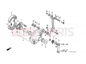 HONDA SA75M Vision 1991 F-8 FRONT BRAKE PANEL