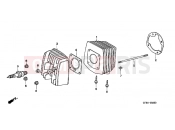 HONDA PK50MX Wallaroo 1999 E-2 CYLINDER / CYLINDER HEAD