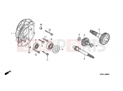 HONDA PK50MX Wallaroo 1999 E-8 TRANSMISSION