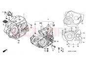 HONDA CBF2504 CBF250 2004 E-13 CRANKSHAFT