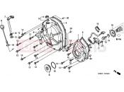 HONDA CB600F6 CB600F Hornet 2006 E-5 CLUTCH COVER