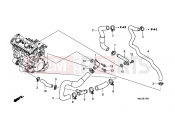 HONDA CBF1000FB CBF1000F 2011 E-17 VÍZCSŐ