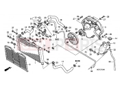 HONDA CBF600SA9 CBF600 ABS 2009 F-33 ​​RADIATOR