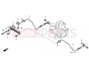 HONDA VTR1000F3 FireStorm 2003 F-30 OIL COOLER