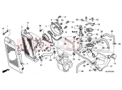 HONDA VT750CA6 Shadow 2006 F-32 RADIATOR