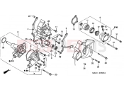 HONDA VFR800FIY VFR 2000 E-8 B. COVER / WATER PUMP