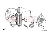HONDA CR80RT CR80R 1996 F-21 RADIATOR