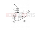 SUZUKI TS50ERKD D (1983) 43 - FUEL TANK (MODEL D)
