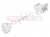 PIAGGIO-NUTZFAHRZEUGE Diesel Standard Porter D120 E5 - 2011-től ENGINE » CAMSHAFT